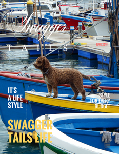 Swagger Tails Life! The go to magazine for pet owners. Coming Soon!