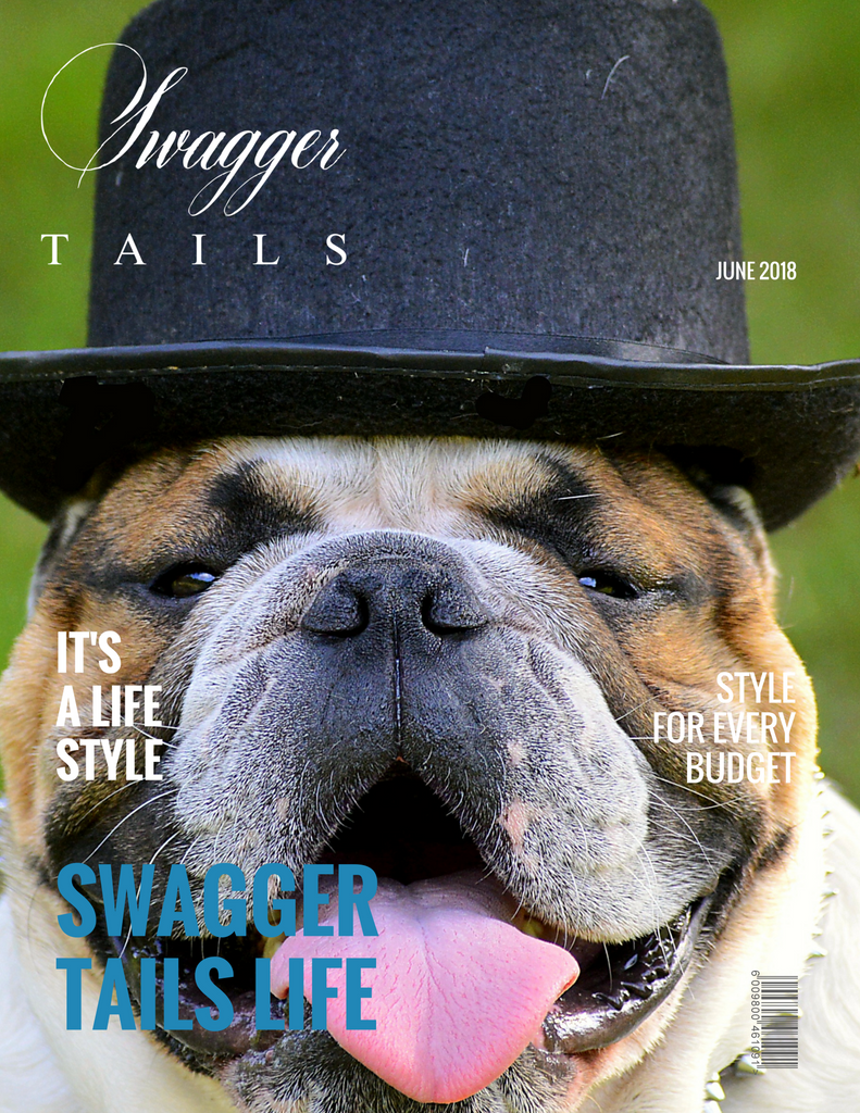 Swagger Tails Life! The go to magazine for pet owners!