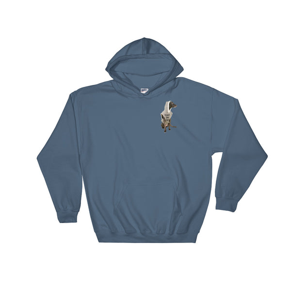 QD Swagger Tails Hooded Sweatshirt