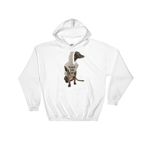 QD Swagger Tails Large Print Hooded Sweatshirt